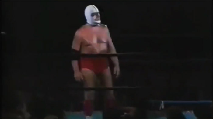 the destroyer wrestler in japan